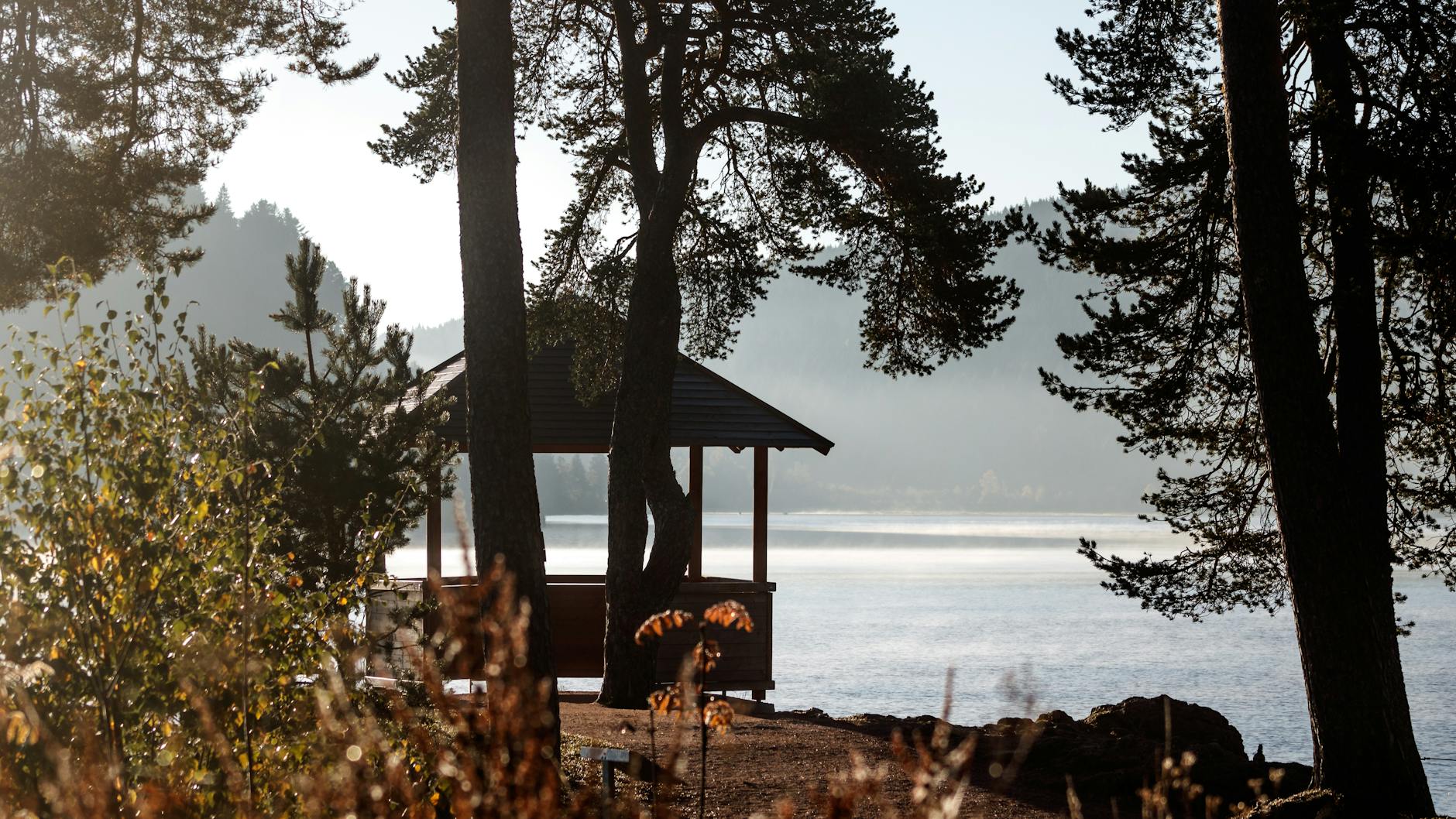 Urokliwa trasa spacerowa w Piechowicach, idealna do spacerów weekendowych po okolicach
