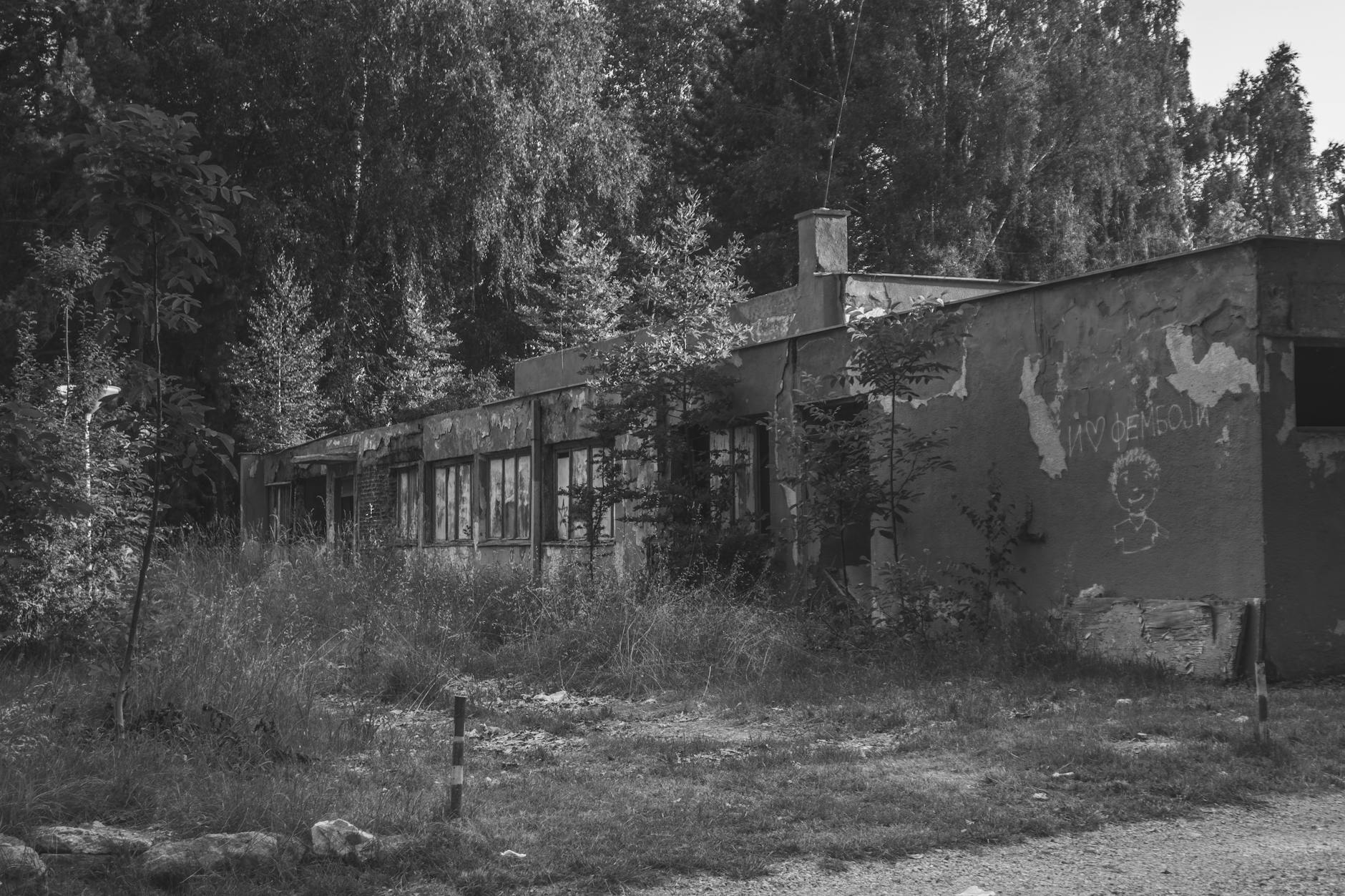 Zielone Świątki w Piechowicach: Tradycja, natura i wspólne świętowanie
